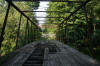 View Photo Gallery
