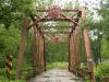 View Photo Gallery
