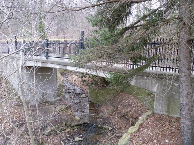 Webster's Falls Rigid-Frame Bridge