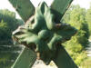 View Photo Gallery